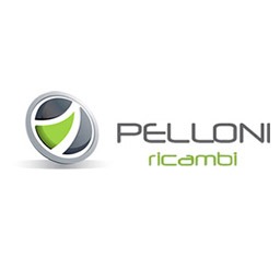 pelloni auto